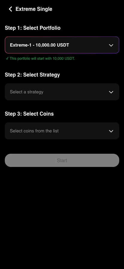 An idle portfolio selected, showing the starting capital